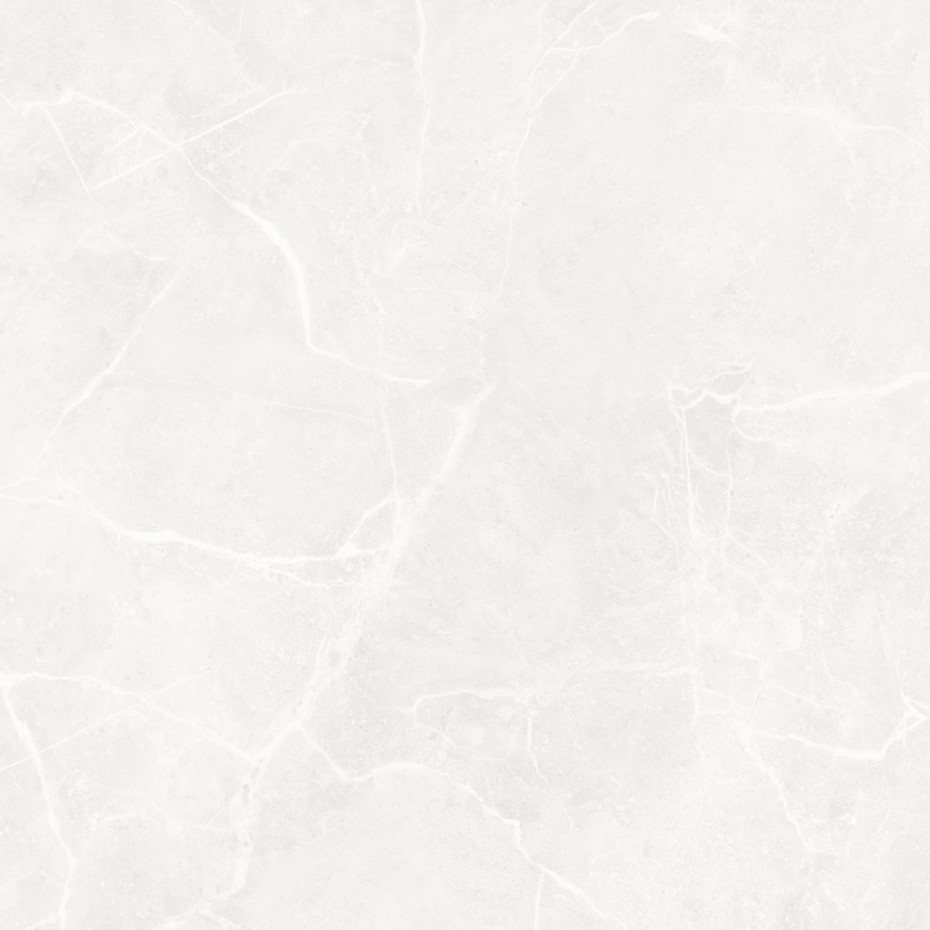 Signetic White