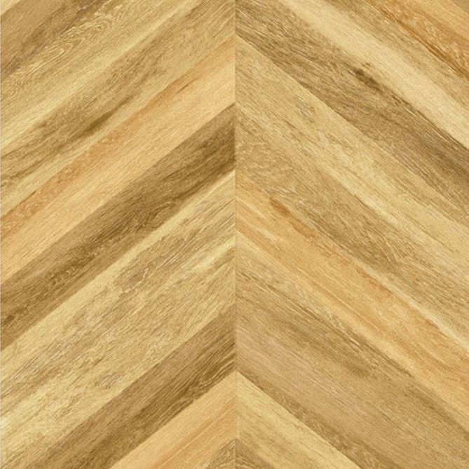 Birch Wood Gold