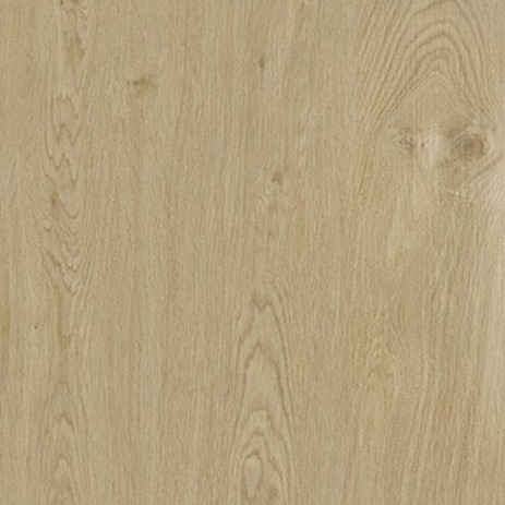 Alpine Oak