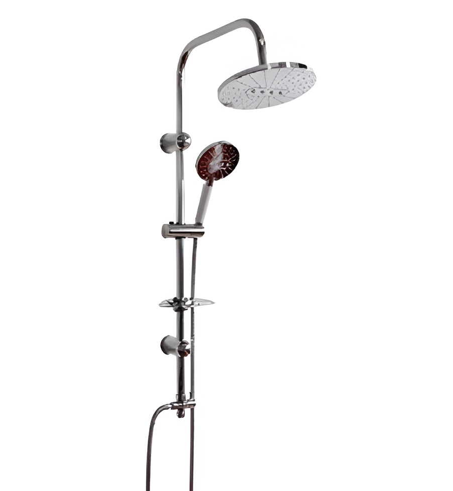 Mazus- FT-R-1073