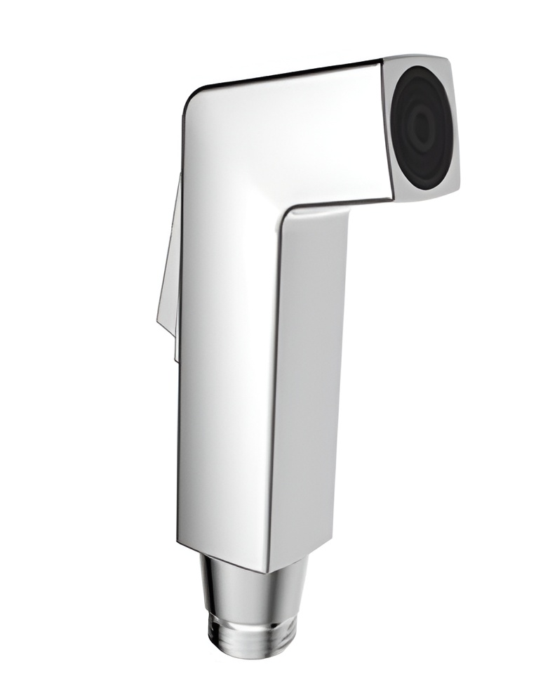Mazus- 81011